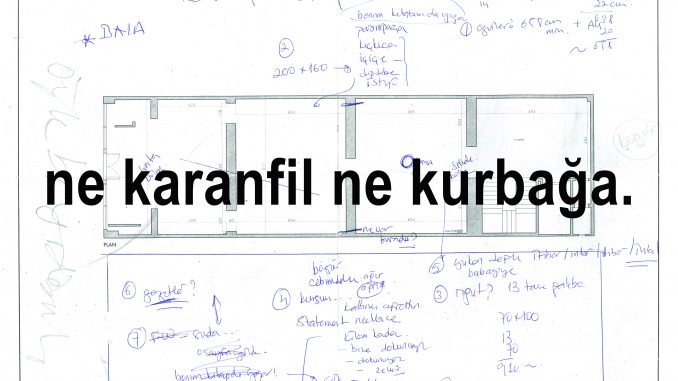 ne karanfil ne kurbağa